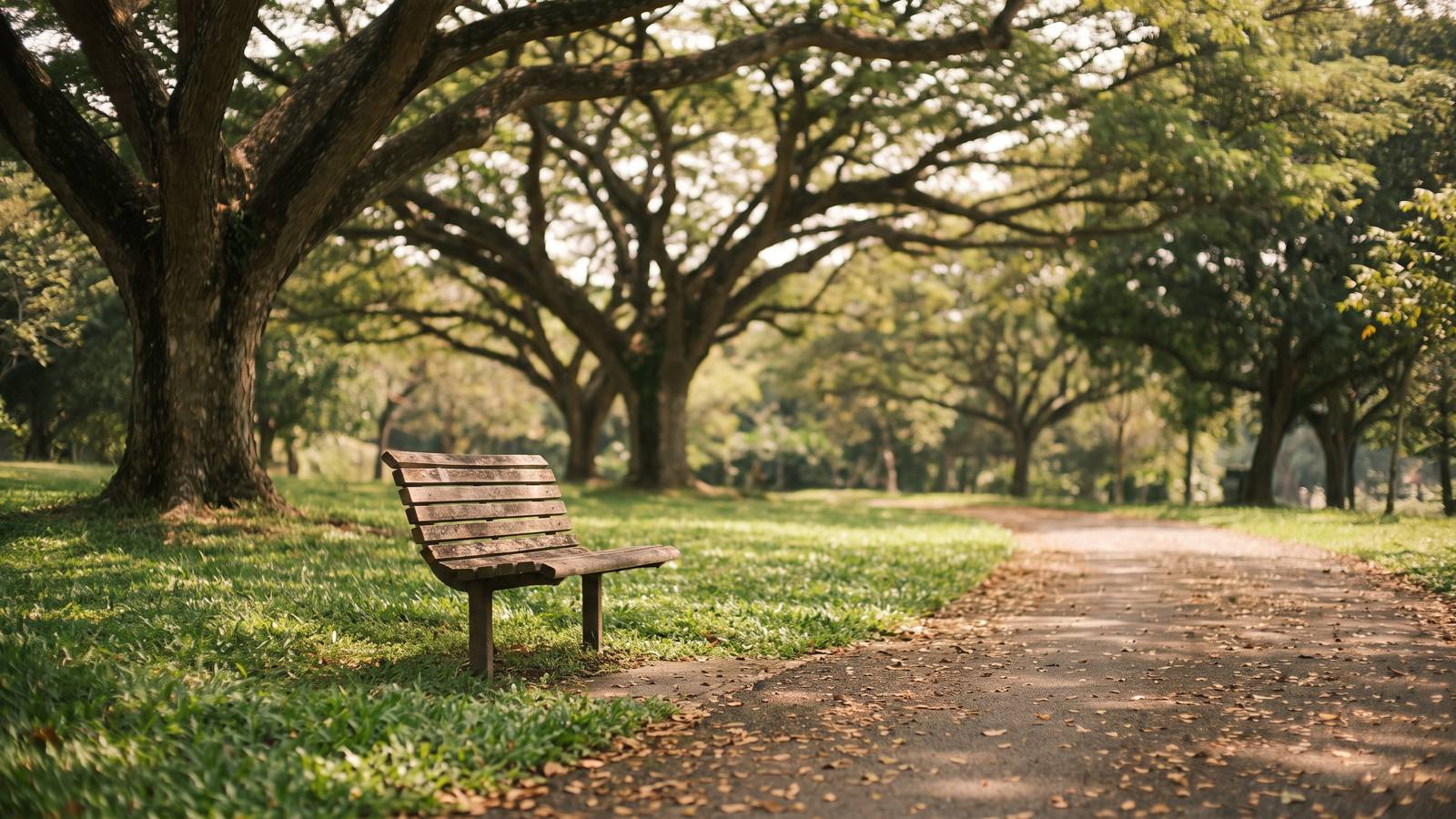 An empty bench under trees at the edge of a Singapore park, away from the play area.