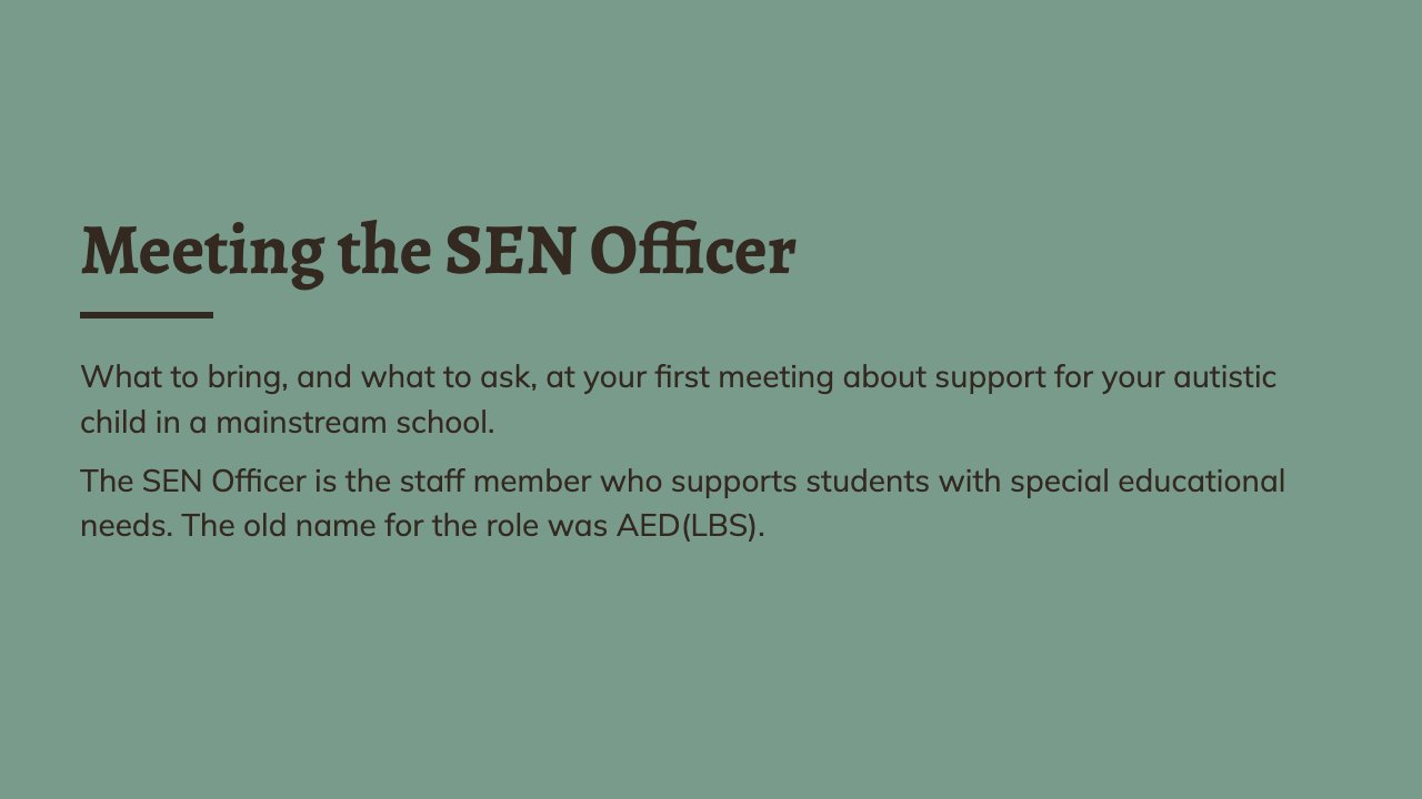 First slide: Meeting the SEN Officer, what to bring and what to ask
